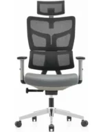 ergonomic work chair president x