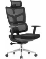 ergonomic work chair president x