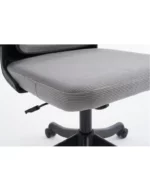 orthopedic office chair lux x